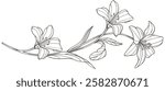 Vector Sketch Floral Botany. flower drawings. Black and white with line art on white backgrounds. Hand Drawn Botanical Illustrations. Vector eps