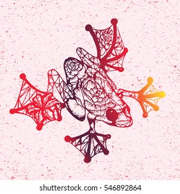 Vector sketch of floral hand drawn frog. Abstract doodle graphic toad illustration in line art style with geometric shapes. Image for print, web, tattoo design, textiles, poster on vintage background