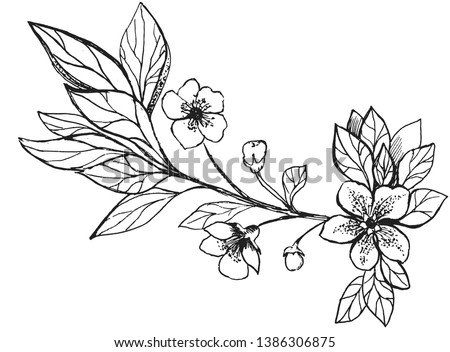 vector sketch with floral twig