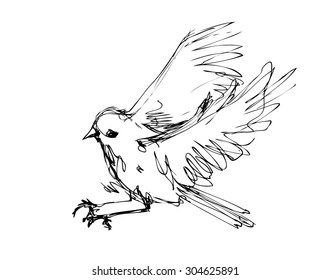 Vector sketch of a flying bird
