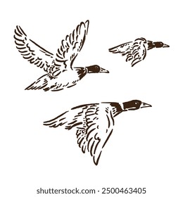 vector sketch of a flying duck with three different modes or positions and a unique but cool design style