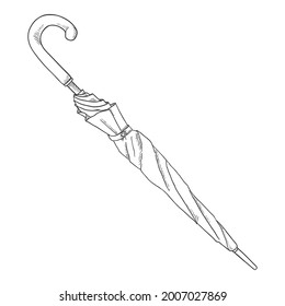 Vector Sketch Folded Umbrella Illustration