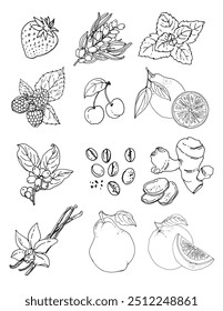 Vector sketch food. Fruits and berries icons. Strawberry, lemon, coffee, ginger, pear, vanilla, mint