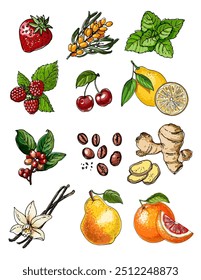 Vector sketch food. Fruits and berries icons. Strawberry, lemon, coffee, ginger, pear, vanilla, mint