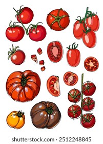 Vector croquis de comida. Tomates, cereza