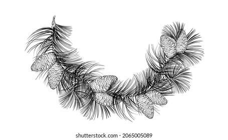 Vector sketch the frames in black and white backgrounds. Christmas illustration of spruce branches and cones.