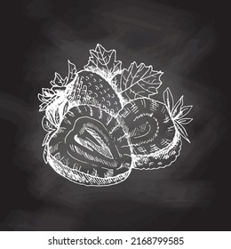 Vector  sketch of fresh organic strawberries, slices. Hand drawn   white sketch  on black chalkboard.  Summer fruit and berries  illustration.  Great for label, poster.