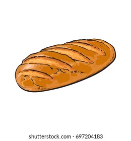 vector sketch fresh white loaf bread . Detailed hand drawn isolated illustration on a white background. Flour pastry products, bakery banner, poster design object