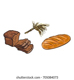 vector sketch fresh white rye bread loaf, brown sliced bread wheat ears bunch set. Detailed hand drawn isolated illustration on a white background. Flour pastry products, bakery banner design object