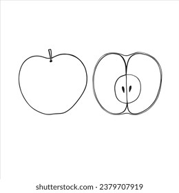 vector sketch of fruit apple, hand drawn drawing, contour graphics
