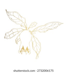 Vetor Esboço de fruta decorativa ilustração de linha dourada. Ramo de fruto inteiro com flor de romã. Ilustrações Botânicas Desenhadas À Mão. Dourado e branco com arte de linha isolada em fundos brancos. 