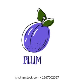 vector sketch fruit plum. Bright picture of ripe plum. lettering of the word "plum"