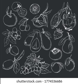 Vector sketch fruits and berries icons set.  Collection hand drawn farm product for restaurant menu, market label. Lemon, blueberry, grape, mandarin, plum, feijoa, and etc.