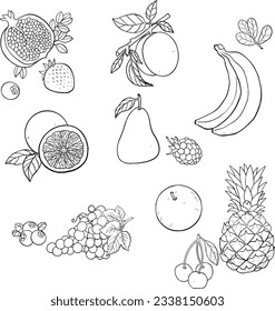 Vector sketch fruits and berries icons set. Decorative retro style collection hand drawn farm product for restaurant menu, market label.