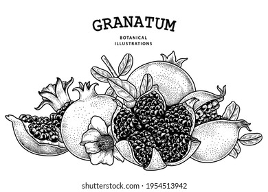 Ilustración retro de fruta granada