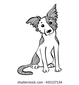 Vector Sketch Funny dog Border Collie breed sitting hand drawing vector