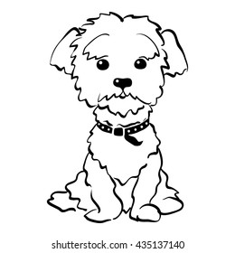 Vector Sketch Funny dog maltese breed sitting hand drawing vector