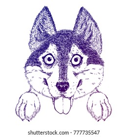 Vector sketch of funny husky or shepherd puppy