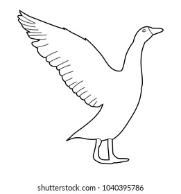 vector, sketch of geese