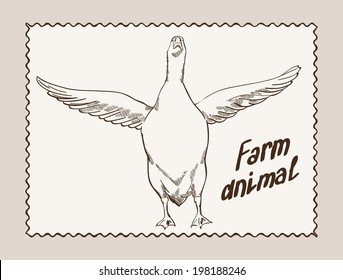 vector sketch of a geese, made by hand