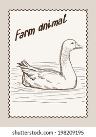 vector sketch of a geese, made by hand