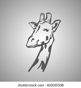 vector sketch of giraffe