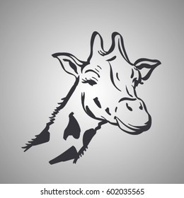 vector sketch of giraffe