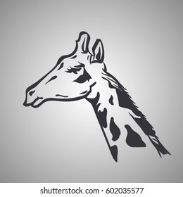 vector sketch of giraffe