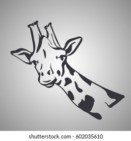 vector sketch of giraffe