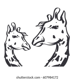 vector sketch of giraffe