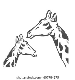 vector sketch of giraffe