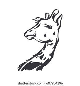 vector sketch of giraffe