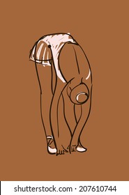 vector sketch of girl's ballerina standing in a pose