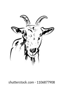 Vector sketch of goat head