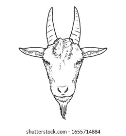 Vector Sketch Goat Head. Front View