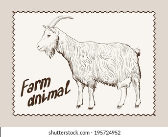 vector sketch of a goat made by hand