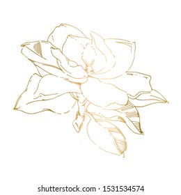 Vector sketch of gold hand-painted magnolia flower