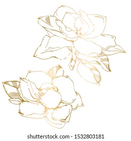 Vector sketch of gold hand-painted magnolia flower