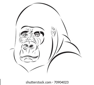 Vector sketch of the gorilla head
