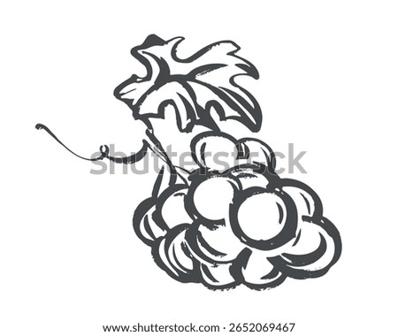 Vector sketch of grapes lying on the table. Hand drawn illustration. Quick drawing of grapevine with black ink and brush. Clipart for wine label, juice, winery logo.