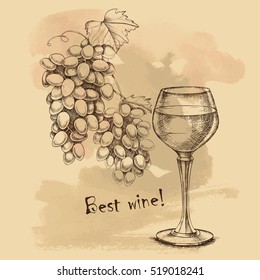 Vector sketch of grapes, wine glass on old paper background for design