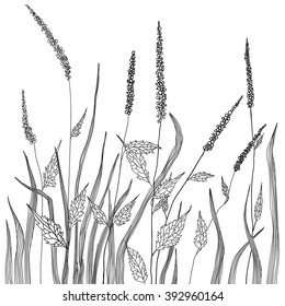 Vector sketch of the grassland in black and white style.
