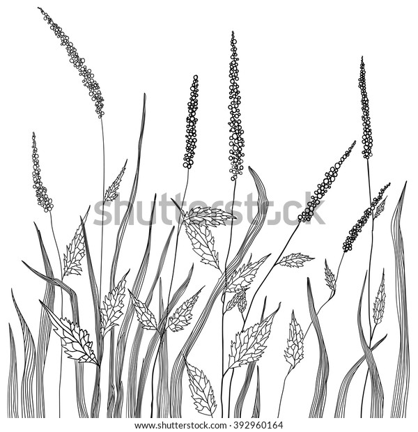 Vector Sketch Grassland Black White Style Stock Vector