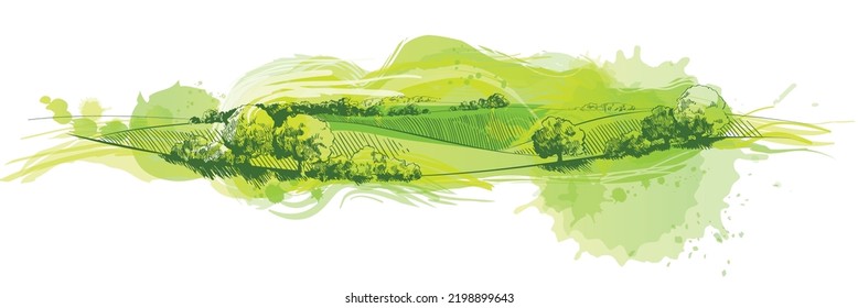 Vector sketch Green grass field on small hills. Meadow, alkali, lye, grassland, pommel, lea, pasturage, farm. Rural scenery landscape panorama of countryside pastures. illustration - Shutterstock ID 2198899643