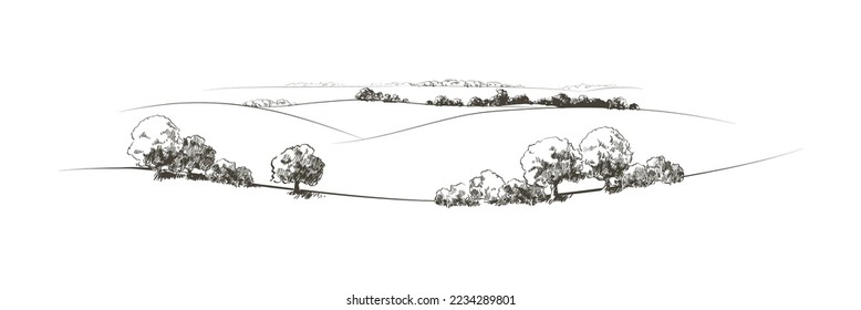 Vector sketch Green grass field on small hills. Meadow, alkali, lye, grassland, pommel, lea, pasturage, farm. Rural scenery landscape panorama of countryside pastures. Line sketch illustration