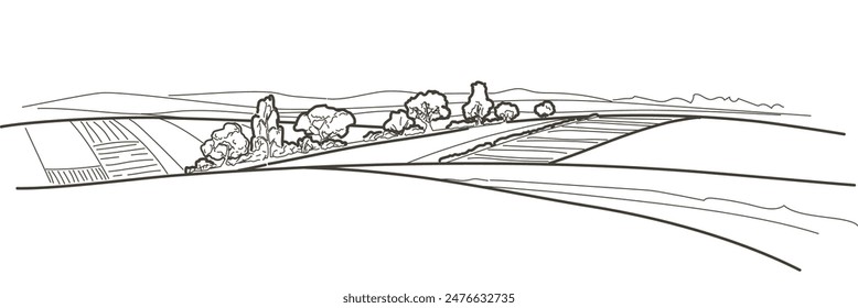 Vector sketch Green grass field on small hills. Meadow, alkali, lye, grassland, pommel, lea, pasturage, farm. Rural scenery landscape panorama of countryside pastures. Watercolor illustration