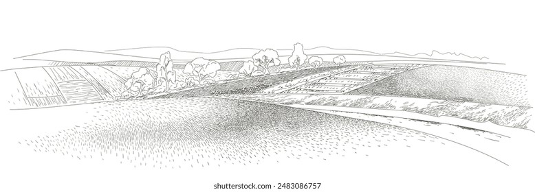 Vector sketch Green grass field on small hills. Meadow, alkali, lye, grassland, pommel, lea, pasturage, farm. Rural scenery landscape panorama of countryside pastures. Sketch line illustration