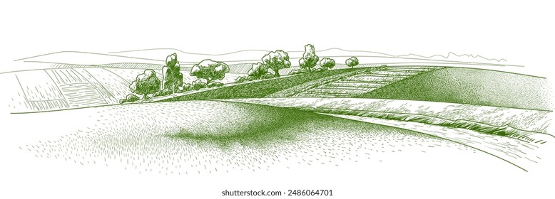 Vector sketch Green grass field on small hills. Meadow, alkali, lye, grassland, pommel, lea, pasturage, farm. Rural scenery landscape panorama of countryside pastures. Sketch realistic line illustrati