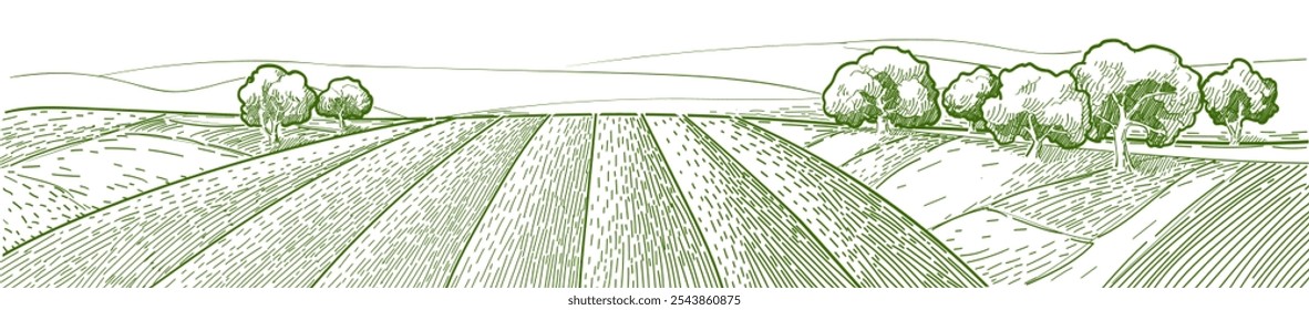 Vector sketch Green grass field on small hills. Meadow, alkali, lye, grassland, pommel, lea, pasturage, farm. Rural scenery landscape panorama of countryside pastures. Watercolor illustration