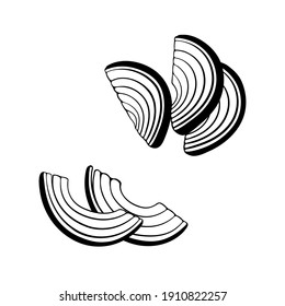 Esbozo vectorial de rodajas de cebolla medio cortada. Dibujo de contorno monocromo.